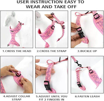 Adjustable Dog Harness and Leash Set for Girl Air Mesh Dog Vest Harness 5Ft Pet Training Leash with Soft Handle Pet Escape Proof for Small Medium Large Dogs (Dinosaur, S)