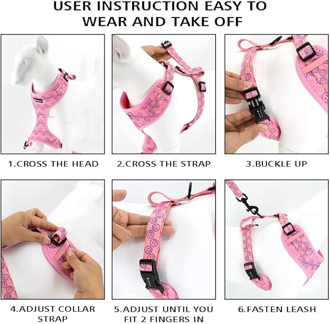 Adjustable Dog Harness and Leash Set for Girl Air Mesh Dog Vest Harness 5Ft Pet Training Leash with Soft Handle Pet Escape Proof for Small Medium Large Dogs (Dinosaur, L)