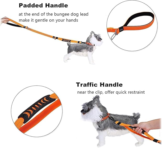 No-Pull Shock Absorbing Bungee Leash for Large Dogs, 4-6 FT Heavy Duty Dog Leash with Traffic Handle & Seat Belt Buckle, Reflective, Up to 150 Lbs
