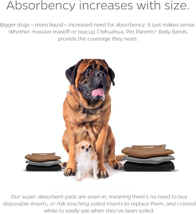 Pet Parents® Washable Belly Bands for Male Dogs (3pack) + Extendrs® of Durable Dog Diapers Male, Premium Male Dog Diapers & Dog Wraps (X-Large, Natural)
