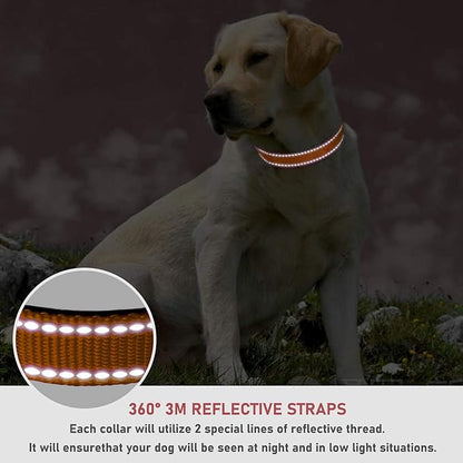 Reflective Dog Collar with Buckle Adjustable Safety Nylon Collars for Small Medium Large Dogs, Orange XL