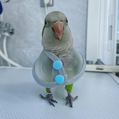 Adjustable Parrot Cone Collar, Safe and Practical Cotton Collar to Prevent Bites and Licking Wounds, to Help heal (4XL)