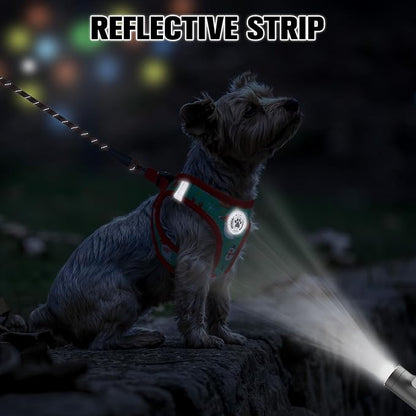 BEAUTYZOO Step in Dog Harness and Leash Set,Reflective Dog Harness No Pull No Choke Puppy Harness for Small Medium Large Dogs Cats,Soft Padded Mesh Vest Harnesses for Girl and Boy Pets,Christmas S