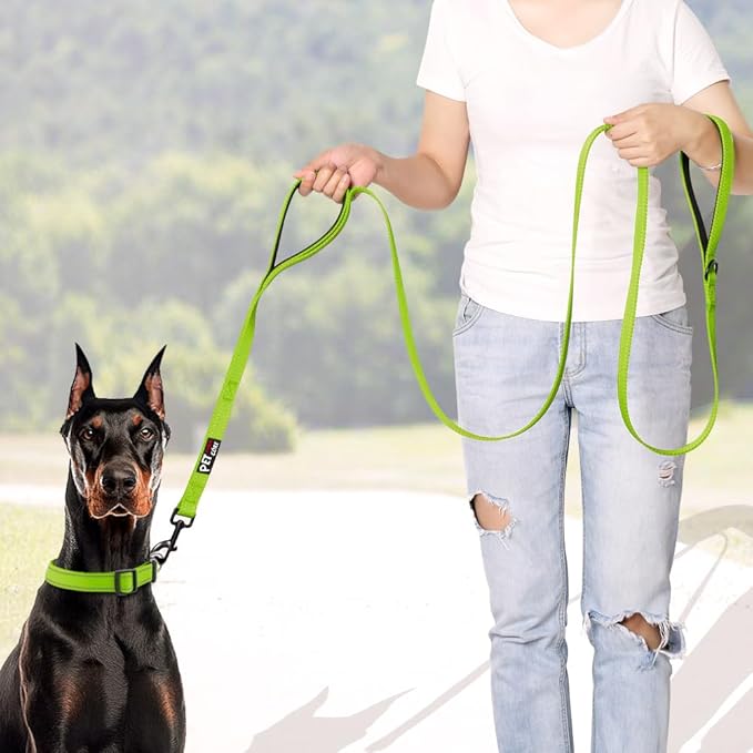 Plutus Pet Double Handle Dog Leash 5ft, Heavy Duty, Reflective Dual Handle Dog Leash for Safety Training, for Medium Large Dogs,2 Handle Leads(Green)