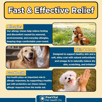Dog Allergy Chews - 200ct Dog Allergy Relief for Itching Skin & Paw Licking - Allergy and Immune Chews for Dogs with Probiotics & Colostrum - Anti Itch Supplement for Seasonal Allergies, Salmon Flavor
