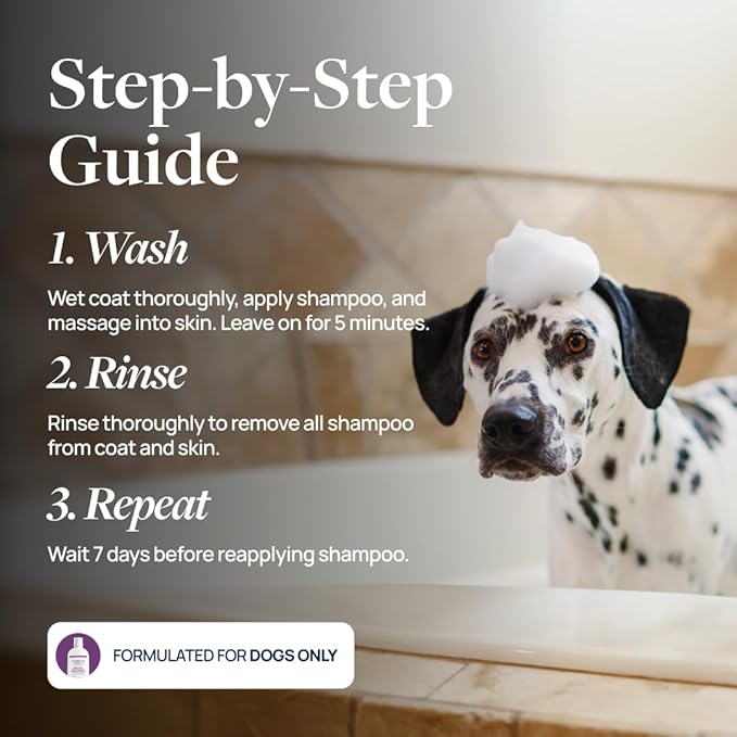 Veterinary Formula Clinical Care Antiparasitic & Antiseborrheic Medicated Dog Shampoo - Helps Support Healthy Skin and Coat, Soothes Flaky, Dry, Greasy Skin - 16 oz (Pack of 2)