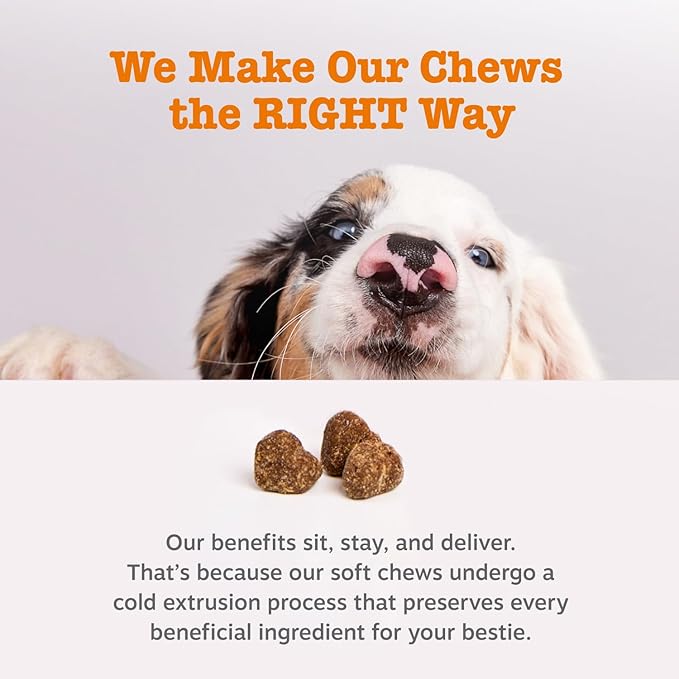 Zesty Paws Probiotics for Dogs, Digestive Enzymes Gut Flora, Digestive Health, Diarrhea & Bowel Support, DE111, Dog Probiotics Soft Chew for Pet Immune System, Chicken, 50 Ct (Pack of 2)