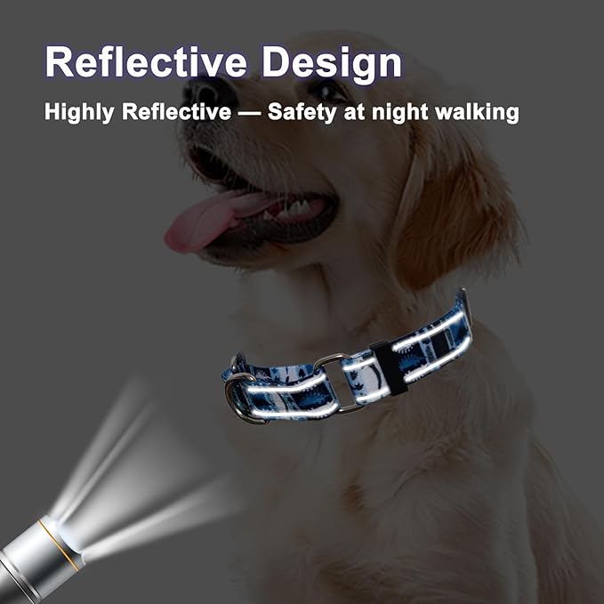 Reflective Martingale Collar for Dogs Nylon Training Collar with No Buckle, No Pull Escape Proof Dog Collar for Small Dogs（Blue Dinosaur，S）