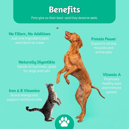 100% USA Freeze Dried Beef Liver Treats for Dogs and Cats – 100% Natural - Single Ingredient – High Protein Snack – All Breeds – Made in USA – 4oz Bag (Regular size pieces for dogs over 15 lbs)