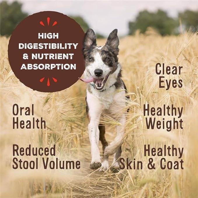 Primal Freeze Dried Raw Dog Food Nuggets, Beef, Complete & Balanced Meal, Also Use as Topper or Treat, Premium, Healthy, Grain Free, High Protein Raw Dog Food, 30 oz