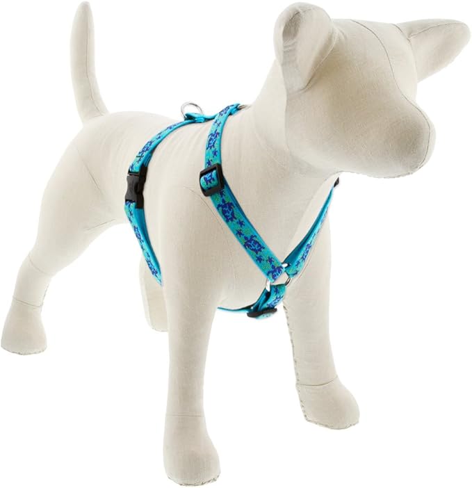 LupinePet Originals 3/4" Turtle Reef 14-24" Adjustable Roman Dog Harness for Medium Dogs
