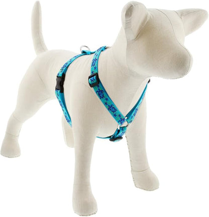 LupinePet Originals 3/4" Turtle Reef 20-32" Adjustable Roman Dog Harness for Medium Dogs