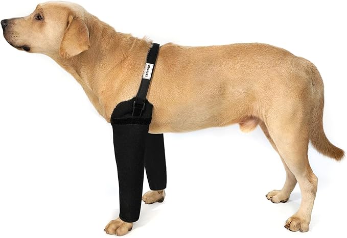 Front Leg Dog Recovery Sleeves - Cone Collar Alternative, Waterproof Abrasion-Resistant Washable 2.5mm Thick, Prevents Licking, Keeps Wounds Dry, 24-Hour Wear (Black, M)