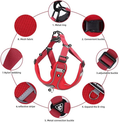 Dog Harness and Leash Set, Adjustable Triangle, Reflective Adjustable Puppy Vest, No Pull Soft Mesh Harness for Small, Medium Dogs, Cats (Red, XL)