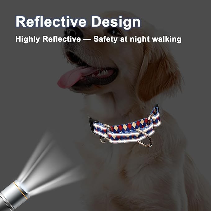 Reflective Martingale Dog Collar with Buckle Soft Nylon Geometric Patterns Pet Collars for Small Dogs (Argyle, S)