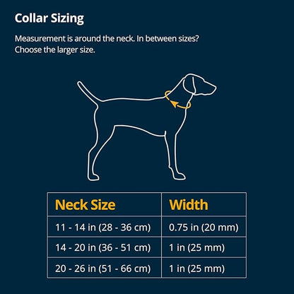 Ruffwear, Front Range Flex Dog Collar, Soft Engineered Knit for Everyday Walks, Lightweight Adjustable with Aluminum V-Ring, Integrated ID Tag Silencer, Quick Release Buckle, Basalt Gray, 9"-11"