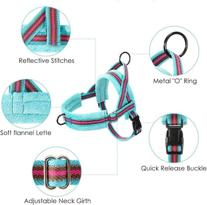 Lukovee No Pull Dog Harness and Leash Set, Soft Padded Small Dog Harness, Neck & Chest Adjustable Reflective Vest Puppy Harness with 4ft Lightweight Anti-Twist Dog Leash for Small Dogs (XS, 01-LBL)