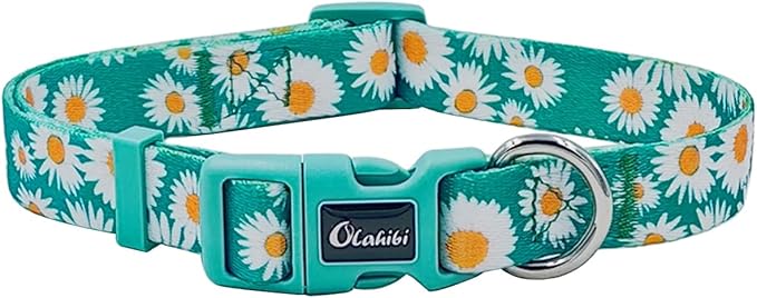 Dog Collar and Leash Set, Cute Daisy Pattern, Polyester Material, 5ft Leash, for Large Dogs.(Large,Green Daisy)