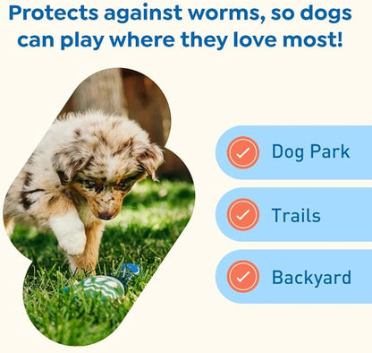 Interceptor Plus Prevention for Heartworm + 4 Other Worms for Dogs 2-8 lbs. | 1 Chew, 1-Month Supply
