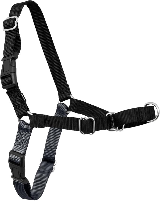 PetSafe Easy Walk Harness for Dogs - Pull-Free Walks - Patented Martingale Loop Design - Front Chest Leash Attachment - Comfort Straps - Breathable Harness Design - Small/Medium, Charcoal/Black