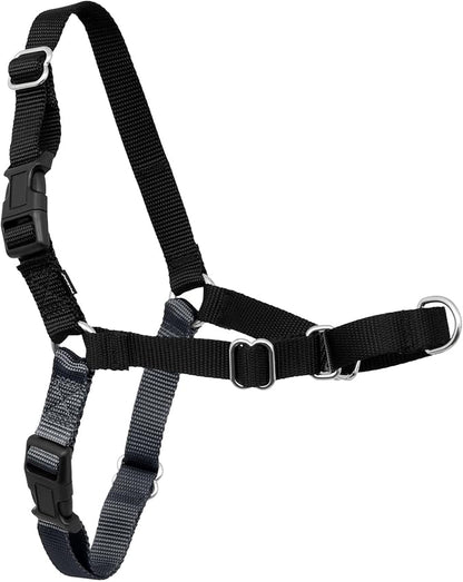 PetSafe Easy Walk Harness for Dogs - Pull-Free Walks - Patented Martingale Loop Design - Front Chest Leash Attachment - Comfort Straps - Breathable Harness Design - Small/Medium, Charcoal/Black