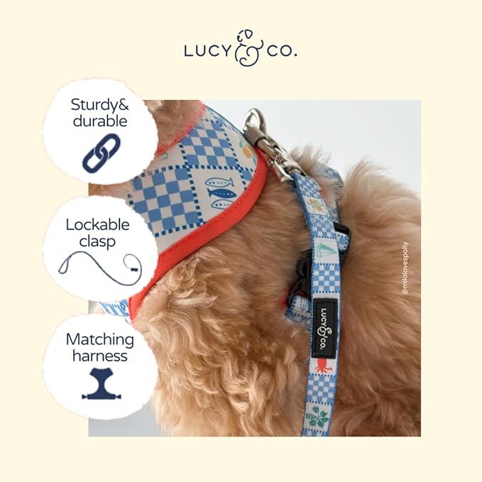 Lucy & Co. Sunny in Sicily Dog Leash, Durable Matching Dog Lead with Heavy Duty Hardware, Small