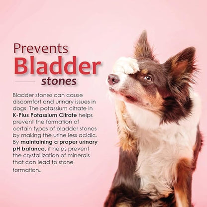 K-Plus Gel for Dogs & Cats – Potassium Citrate & Cranberry Supplement for Kidney, Urinary Tract Health, UTI Relief, Stone Prevention, Electrolyte Balance, Muscle & Heart Function - Made in USA - 5 oz