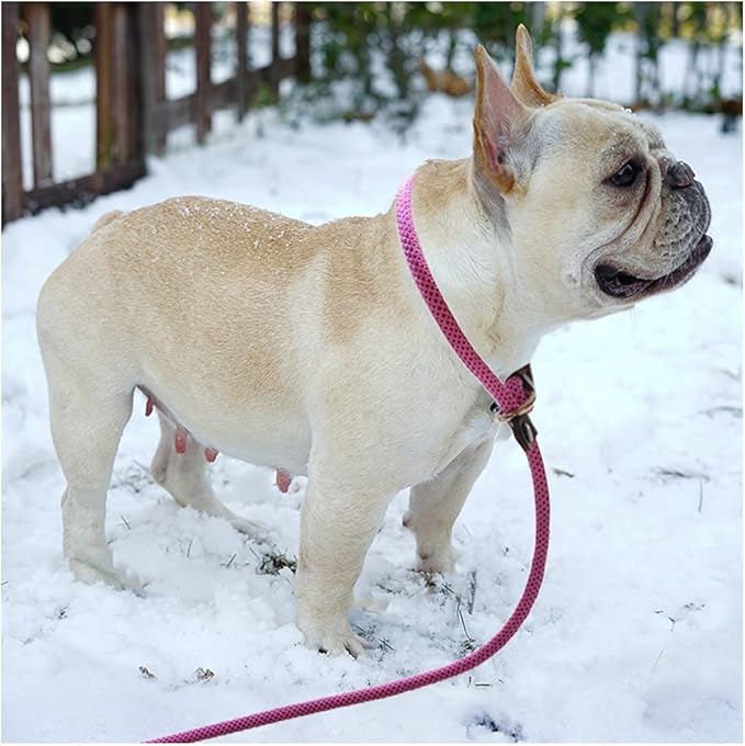 BTINESFUL 7ft Slip Lead Dog Leash, 1/4" Nylon Rope Dog Training Leash for Small Medium Dogs No-Pull Walking, Behavior Training, 14+ Colors