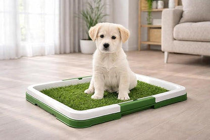 BE POSITIVE Synthetic Grass Training Mat with Washable Tray for Dogs, Great for Indoor and Outdoor