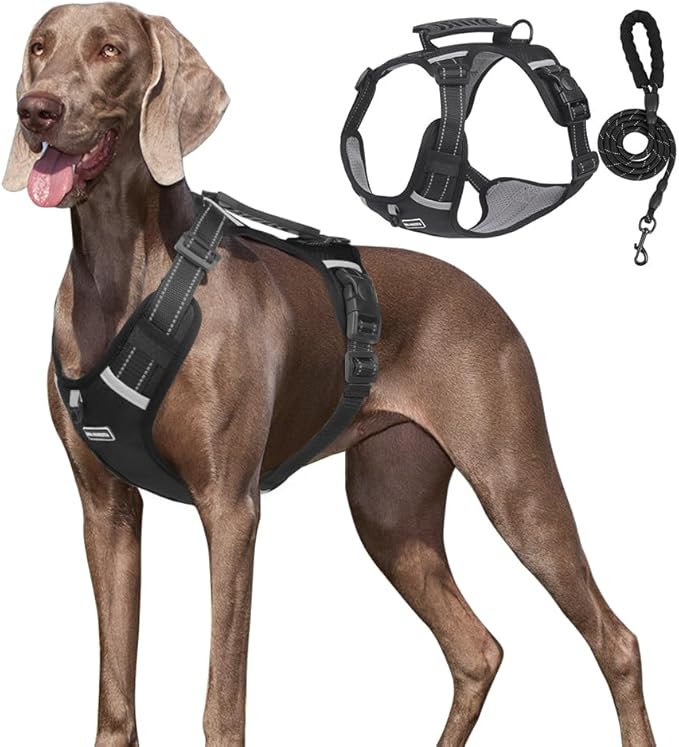 Dog Harness No Pull Adjustable Reflective,for Medium and Large Small Dog with Leash 59.06in (Black, M)