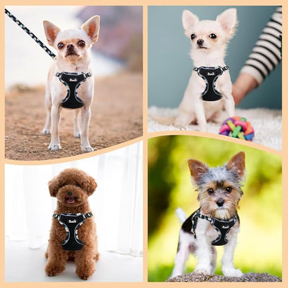 Lukovee No Pull Puppy Harness and Leash Set - Soft Lightweight Escape Proof Puppy Vest Harness, Breathable Adjustable Pet Harness with Dog Leash for Small Dogs (Black, M)