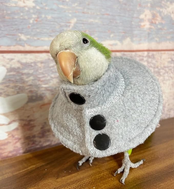 Adjustable Recovery Bird Cone Collar, Elizabeth Protective Collar, Safe and Practical Neck Sleeve for Preventing Bite and Licking Wound Healing with Snap Fastener Random Color (Medium)