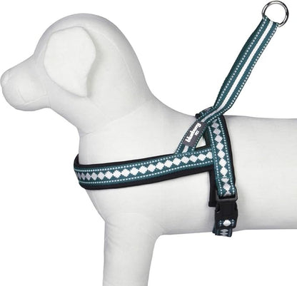 Blueberry Pet 6 Colors Soft & Comfy Jacquard Padded Dog Harness, Chest Girth 21.5" - 27.5", Teal Blue, S/M, Reflective Adjustable Harnesses for Dogs
