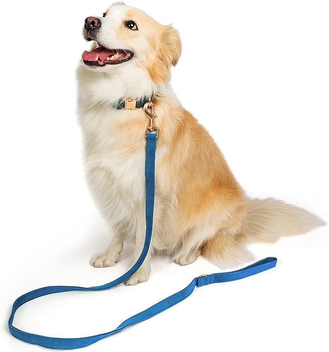Soft Cotton Dog Leash, 5 Ft Heavy Duty Corduroy Dog Leashes with Gold Metal Hook for Small Medium Large Dogs,Medium,Dark Blue