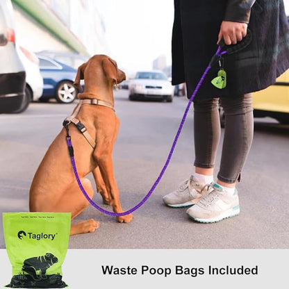 Taglory Rope Dog Leash 5 FT with Comfortable Padded Handle, Highly Reflective Threads Leash and Anti-Tangle Clip for Walking Small Dogs, 3/8 inch, Purple