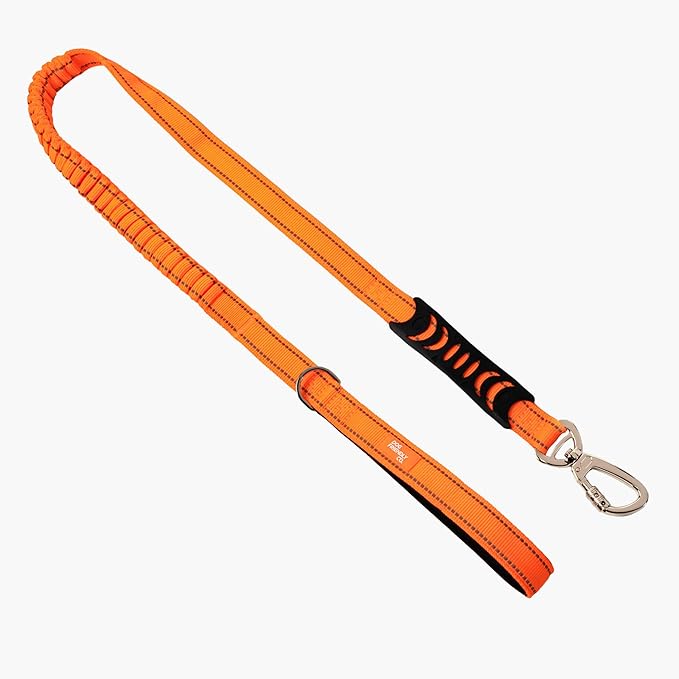 Dog Friendly Co. Bungee Dog Leash | Strain Free & Shock Resistant for Control | Neoprene Padded Handle, Heavy-Duty Carabiner Clip, and D-Ring | Hi-Vis Orange, Size Small