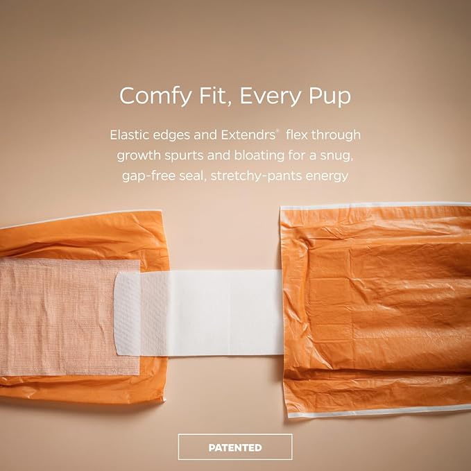 Pet Parents® DiPees® Disposable Belly Bands for Male Dogs + Extendrs®, Male Dog Wraps, Leak Proof, Up to 83% Plant Based, Premium Disposable Dog Diapers Male (Natural, Small (12-20"), 30ct)