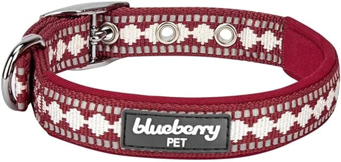 Blueberry Pet Reflective Jacquard Dog Collar with Neoprene Padding & Metal Buckle | Soft & Adjustable Safety Collar - Marsala Red, Neck 9-12.5", for Small Breed