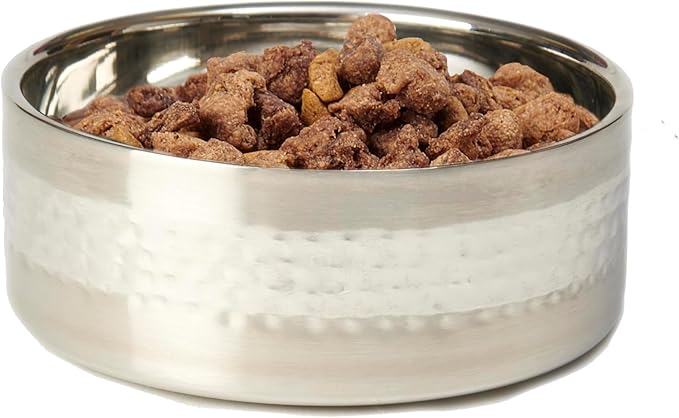 PetRageous 18435 Sanibel Stainless-Steel Hammered Double Walled Dog Bowl 5.9-Inch Width and 2.44-Inch Height 3-Cups Capacity, Metallic