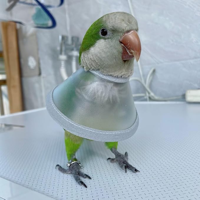 Adjustable Parrot Cone Collar, Safe and Practical Cotton Collar to Prevent Bites and Licking Wounds, to Help heal (S)
