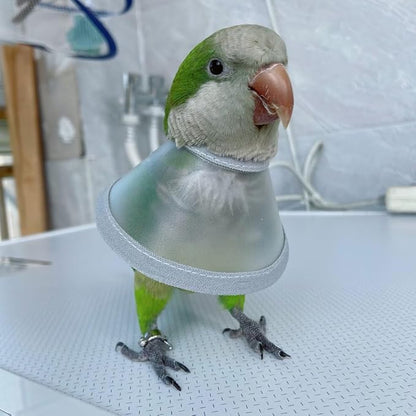 Adjustable Parrot Cone Collar, Safe and Practical Cotton Collar to Prevent Bites and Licking Wounds, to Help heal (S)