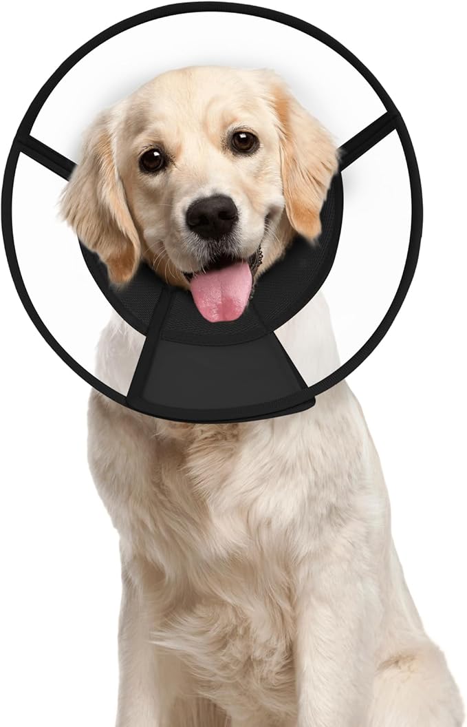 Dog Cone Collar After Surgery to Stop Licking, with Soft Waterproof Liner, Transparent PVC, for Large Medium Dogs, Elizabeth Neck Recovery Collar ALtermative(XL)