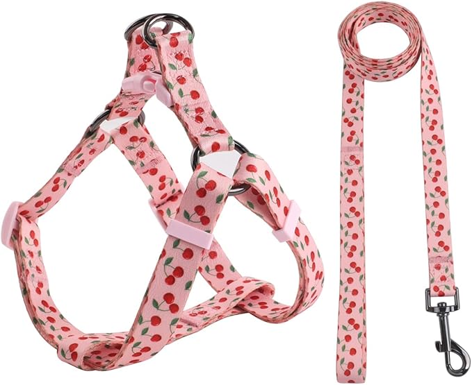 Harness and Leash Set, Floral Pattern, 5ft Matching Leash, No Pull, Easy Wear for Medium Dogs.(M, Pink Cherry)