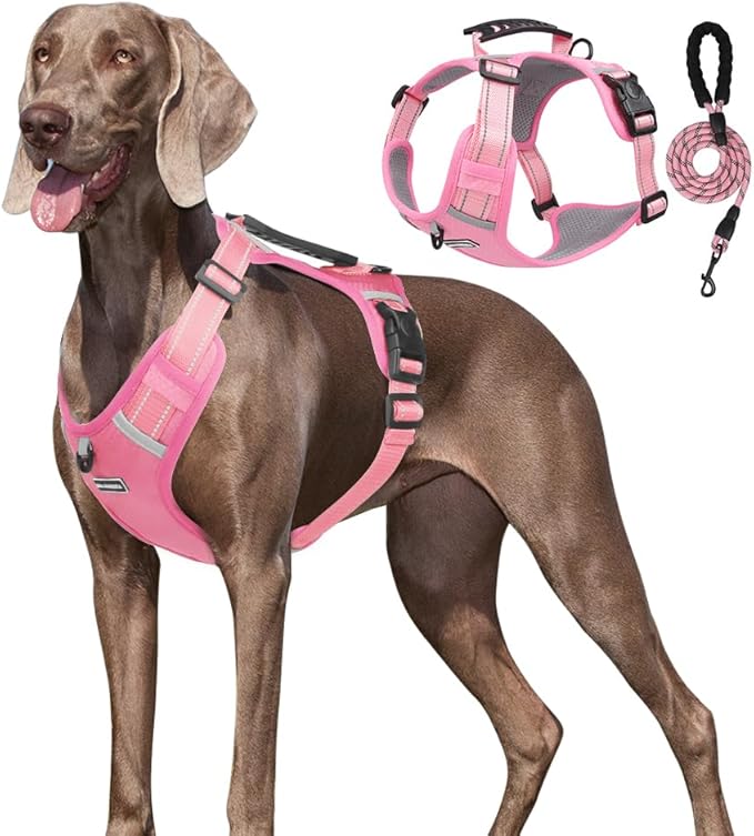 Dog Harness No Pull Adjustable Reflective,for Medium and Large Small Dog with Leash 59.06in (Pink, XS)