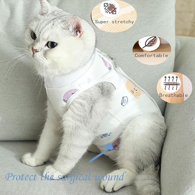 Cat Recovery Suit Female Kitten Onesie for Cats After Surgery Female Spay Surgical Abdominal Wound Skin Diseases Cone Collar Soft Alternative Wear (Cat, M)