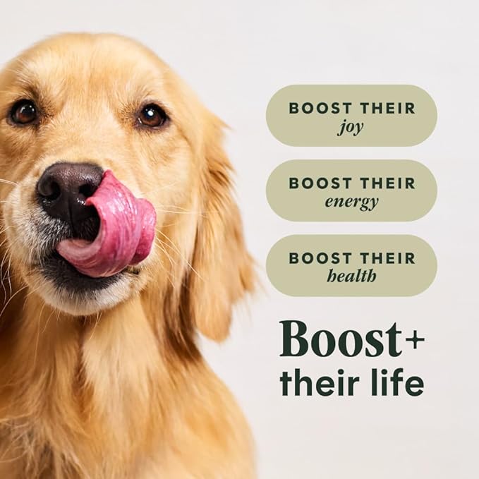 Instinct RawBoost, Natural Dry Dog Food with FreshDried Raw, Whole Grain Recipe - Real Salmon & Brown Rice, 3.5 lb. Bag