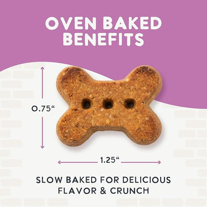 Health Extension Oven-Baked Dog Treats, Peanut Butter Recipe – Gluten & Wheat-Free, Superfood-Infused, Crunchy Biscuits for Puppy Training (6oz)