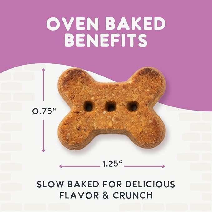 Health Extension Oven-Baked Dog Treats, Salmon Recipe – Gluten & Wheat-Free, Superfood-Infused, Crunchy Biscuits for Puppy Training (2.25 lb)