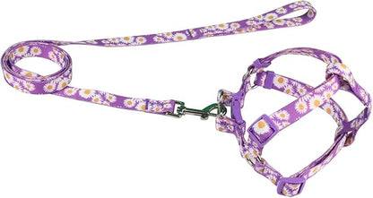 Harness and Leash Set, Floral Pattern, 5ft Matching Leash, No Pull, Easy Wear for Small Puppy Dogs.(XS, Purple Daisy)