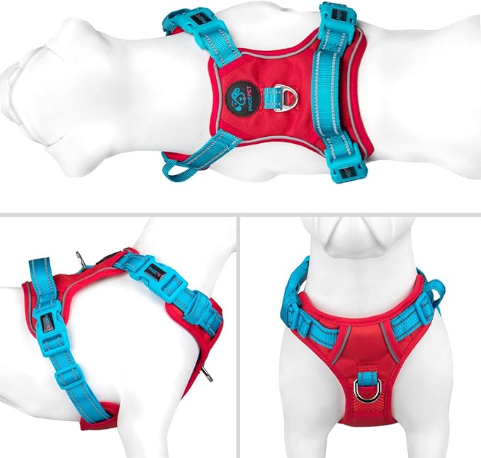 PHOEPET No Pull Dog Harness, Unique Colors Reflective Adjustable Dog Vest, with Soft Training Handle Metal Clips for Small Medium Large Dogs (Red Base & Teal Straps,XL)